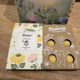 Klein doosje met 4 zaadbommetjes 'Hoera'