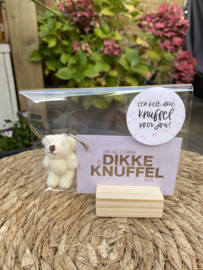 Minikaartje & knuffelbeertje 'soms heb je gewoon een dikke knuffel nodig'