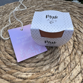 Terracotta potje 'Pluk de dag' met 'vergeet mij niet' zaadjes (inclusief verpakking en mini kaartje)