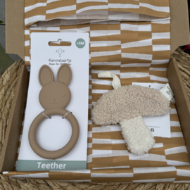 Doosje vol leuks 'baby paddestoel'