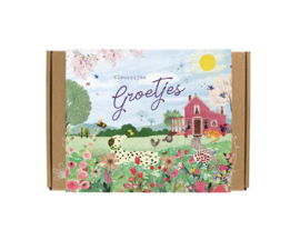 Doosje vol met 7 zaadbommetjes (wilde bloemen) 'kleurrijke groetjes'
