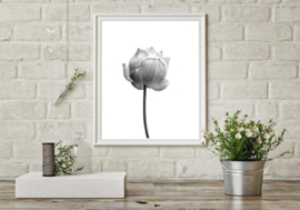 Woonkaart/poster A5, wit lotus