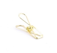 Fish clip XS goud