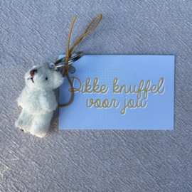 Klein kaartje: 'Een dikke knuffel voor jou' inclusief geluks beertje sleutelhanger (blauw)