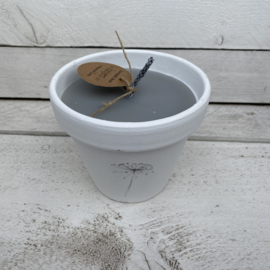 Kaars in een pot: Berenklauw (13 cm)