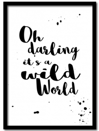 Poster, Oh darling it's a wild world