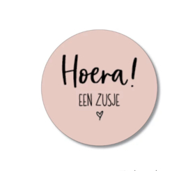 5 stickers: hoera een zusje