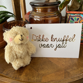 Postcard met knuffel: dikke knuffel voor jou