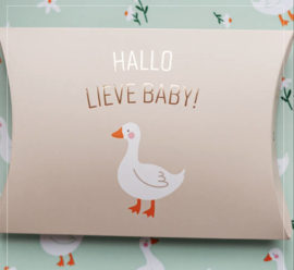 Gondeldoosje 'Hallo lieve baby'