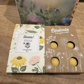 Doosje vol leuks 'HOERA'