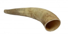 Cattle Horn M