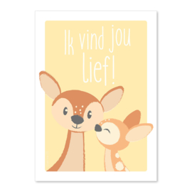 A6 Hertjes Ik vind je lief!