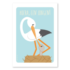 A6 Ooievaar 'hoera, een jongen'