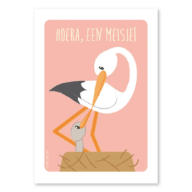 A6 Ooievaar 'hoera, een meisje'