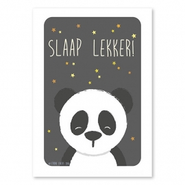 A6 Panda 'slaap lekker'