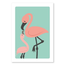 A6 Flamingo familie