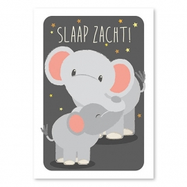 A6 Olifant 'slaap zacht'