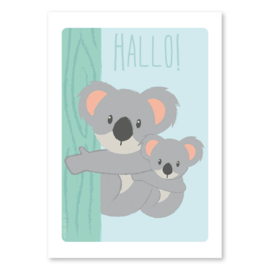 A6 Koala familie 'hallo'