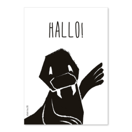 A6 Walrus Hallo!