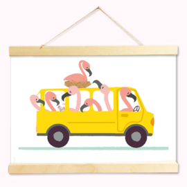 A4 Flamingo Bus