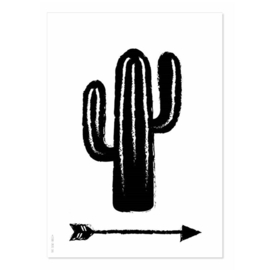 A4 Cactus