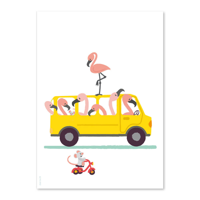 A6 Flamingo Bus
