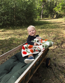 Fruits baby - Wiegdeken wol