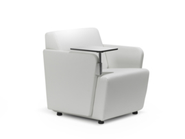 Lande Olli met RVS armen, luxe fauteuil, zetel of bank