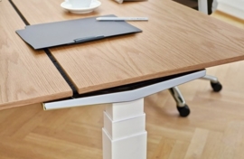Konig en Neurath Table T Programma