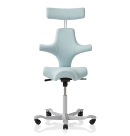 HAG Capisco bureaustoelen model 8107