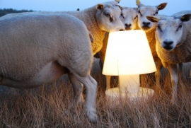 Bloom ! Portable lamp 28cm met oplaadbare batterij