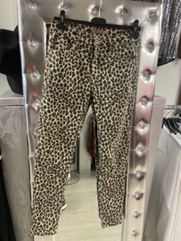 Broek panter