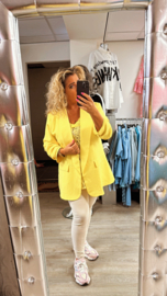 Blazer colour
