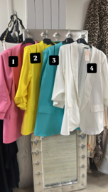 Blazer colour