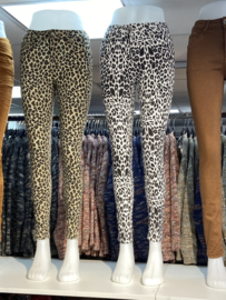 Broek cheeta