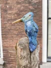 IJzvogeltje  opzij kijkend - Ron IJzerman