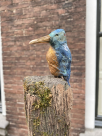 IJzvogeltje  opzij kijkend - Ron IJzerman
