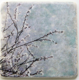 Nature Art tiles - Karen Winnubst