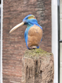 IJzvogel groot, opzij kijkend - Ron IJzerman