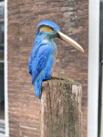 IJzvogel groot, opzij kijkend - Ron IJzerman