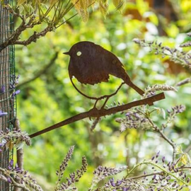 Roodborst