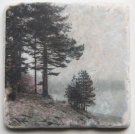 Nature Art tiles - Karen Winnubst