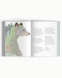 Boek Plint - Eén gedicht is nooit genoeg - deel 2