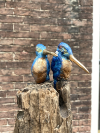 Twee ijzvogels op 1 paal - Ron IJzerman