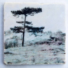 Nature Art tiles - Karen Winnubst