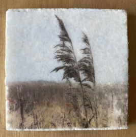 Nature Art tiles - Karen Winnubst