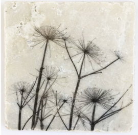 Nature Art tiles - Karen Winnubst