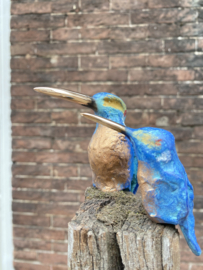 Grote ijzvogel met jong - Ron IJzerman