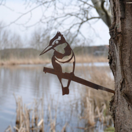 IJsvogel