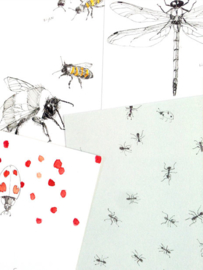Tien kriebelende insecten - Maartje van den Noort